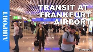 TRANSIT WALK AT FRANKFURT Airport FRA Terminal 1  Connection Flight Transfer Arriving amp Departing [upl. by Hibbitts]